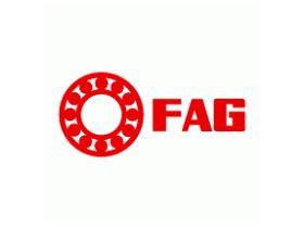 SUBFAMILIA DE FAG    FAG